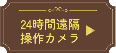 大反響!!24h遠隔操作カメラ