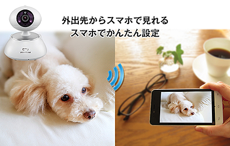 防犯カメラの写真