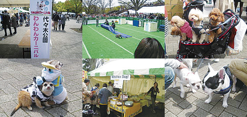 代々木公園　ワンワンカーニバル2015風景