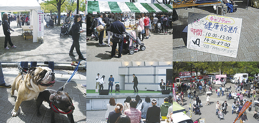 代々木公園　ワンワンカーニバル2014風景