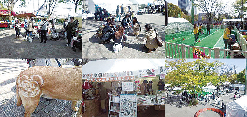 代々木公園　ワンワンカーニバル2013風景