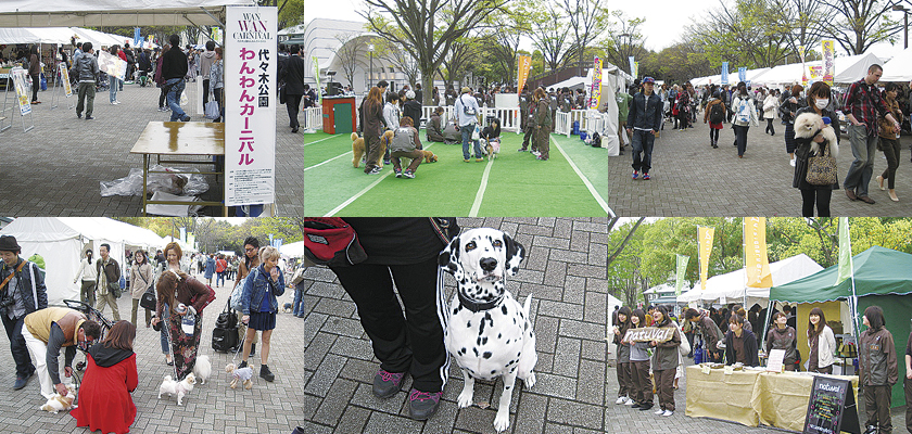 ワンワンカーニバル2012