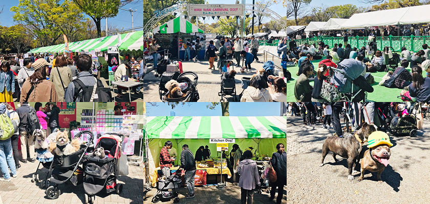 わんわんカーニバル2019風景