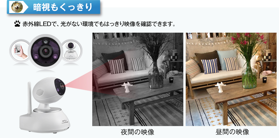 実際の図