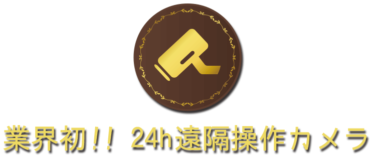 24時間遠隔操作カメラ