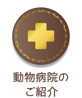 動物病院のご紹介