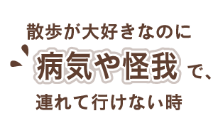 散歩が大好きなのに病気や怪我で連れて行けない時