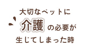大切なペットに介護の必要が生じてしまった時