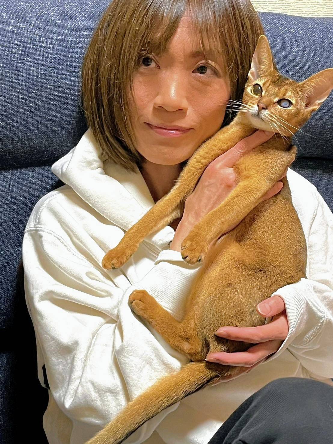 有資格者シッター紹介