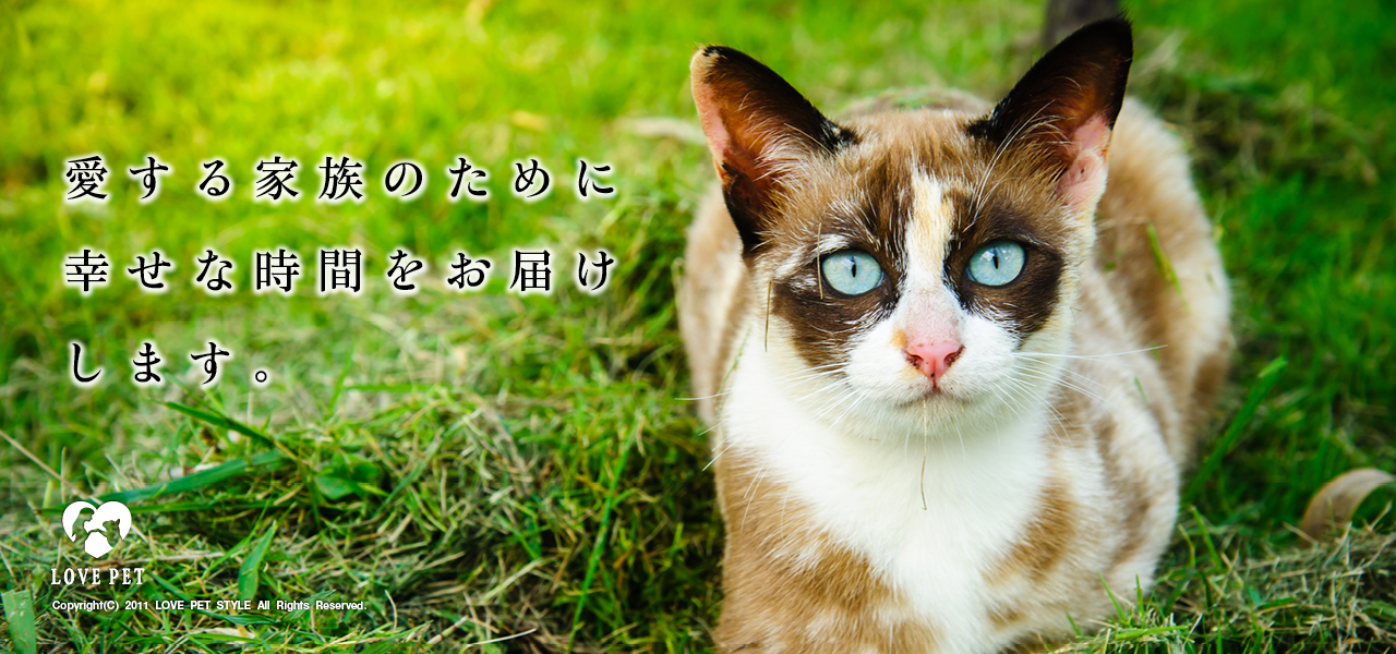 愛する家族のために幸せな時間をお届けします。5