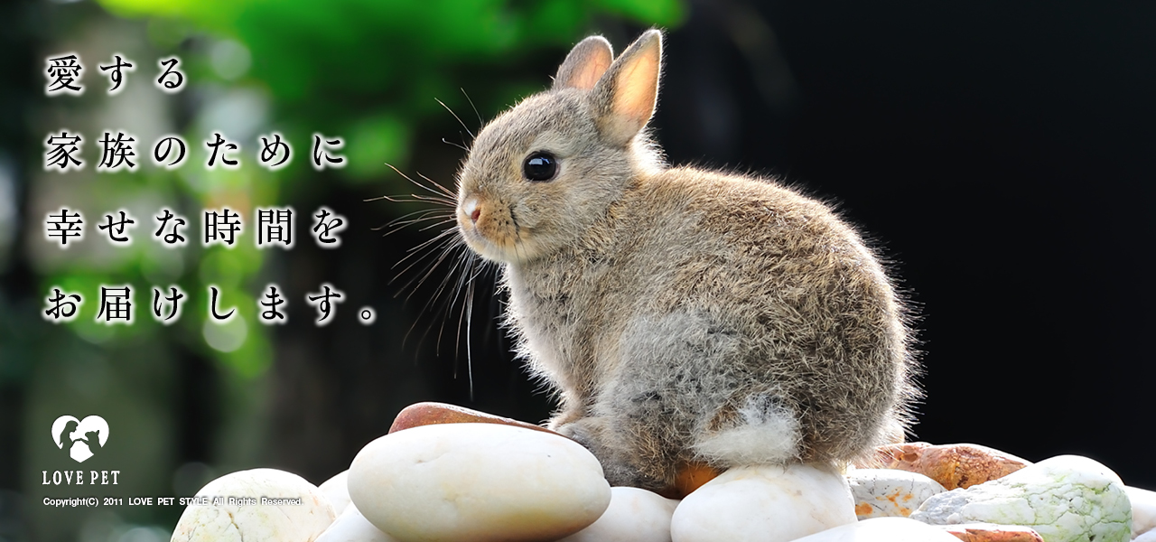 愛する家族のために幸せな時間をお届けします。6