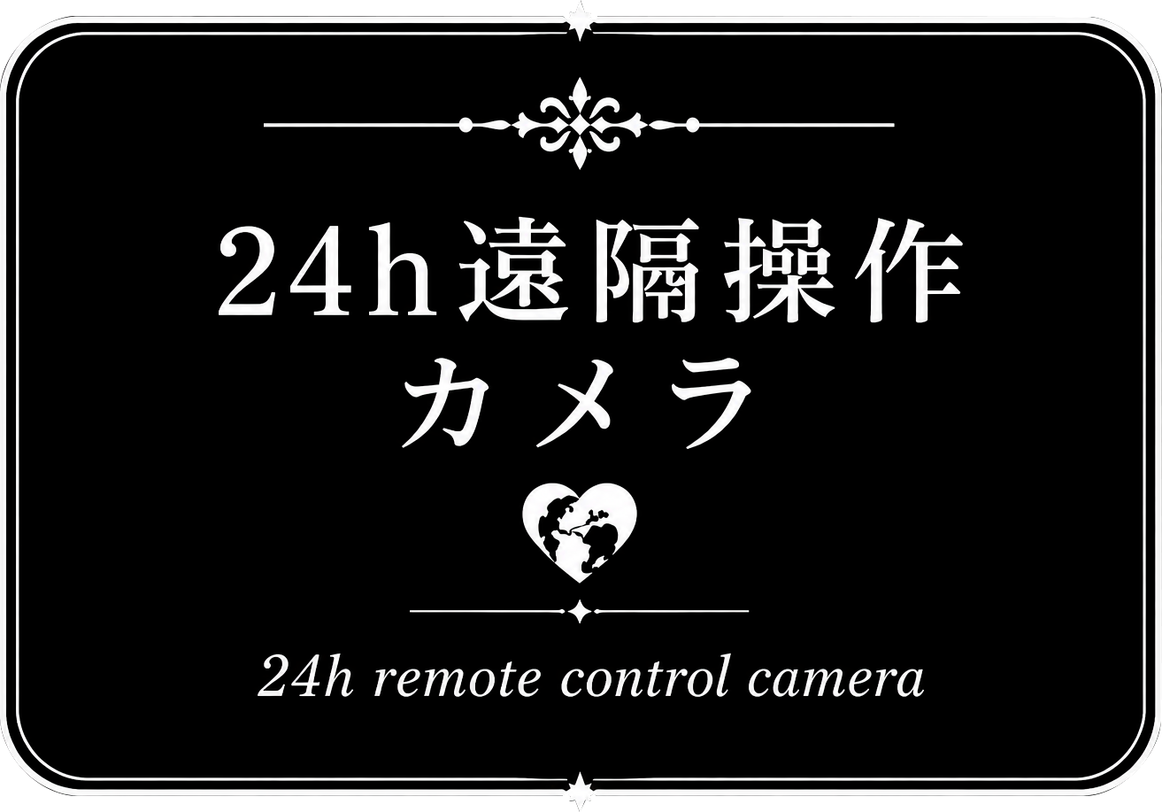 大反響!!24h遠隔操作カメラ